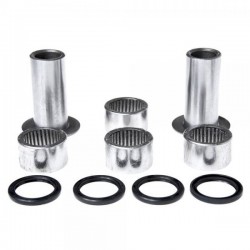 Kit cuscinetti Forcellone SHERCO 2t-4t '99-17